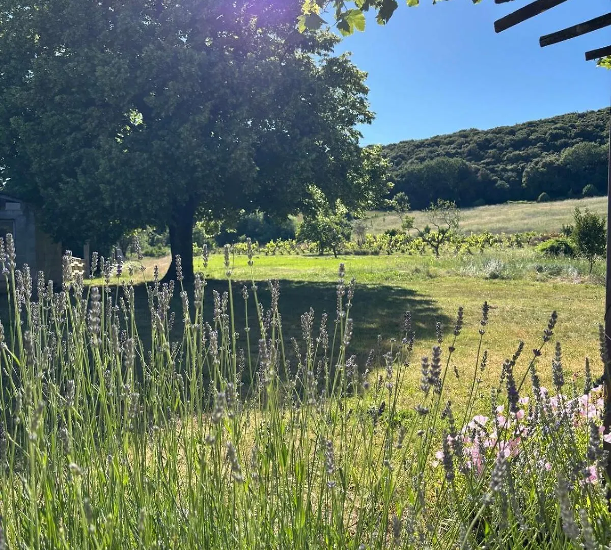 Дом отдыха Villa Crusoe - Ardeche Viviers